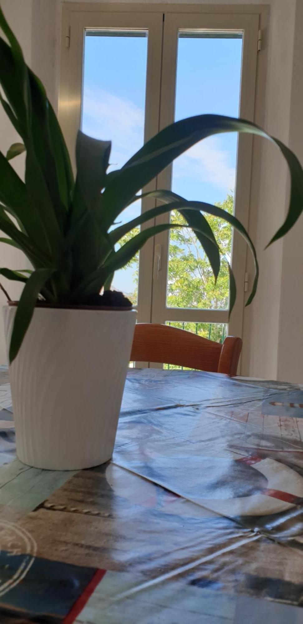 Casa Maddi Casa Vacanze Con Vista Mare Vicinissima Al Centro 카폴리베리 외부 사진